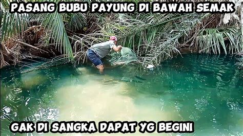 Pasang Bubu Payung Di Sungai Dangkal Dapat Ikan Mahal Youtube