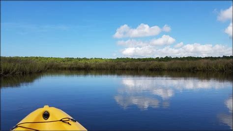 Nature Experiences To Enjoy Along The Alabama Coastline - Travel With Sara