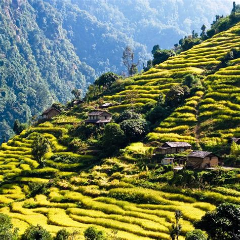 Most Beautiful Terraced Rice Fields The Wow Style