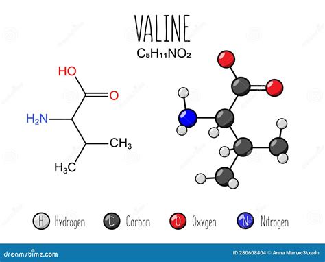 Valine Val L Amino Acid Molecule Chemical Formula C H No