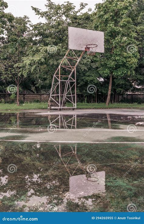 Tablero Trasero De Madera De Baloncesto Con Anillo De Metal De La