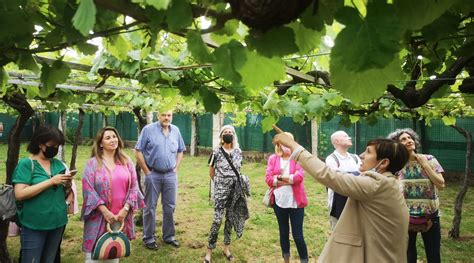 A La Venta Las Entradas De La Ruta Do Vi O R As Baixas Por La Primavera