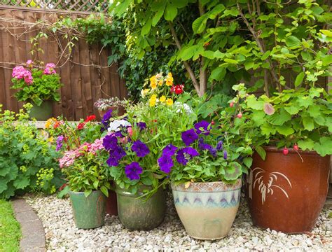 4 Tips for a Successful Container Garden - Backyard Boss