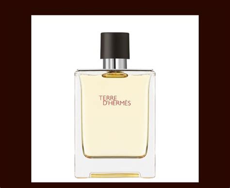 100 Authentic Hermes Terre Dhermes Edt Perfume 100ml Mens Perfume Lazada Ph