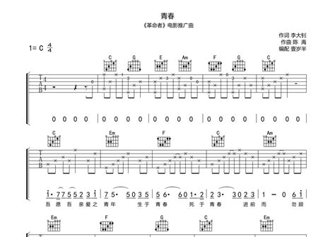 青春吉他谱 毛不易 C调吉他弹唱谱 琴谱网