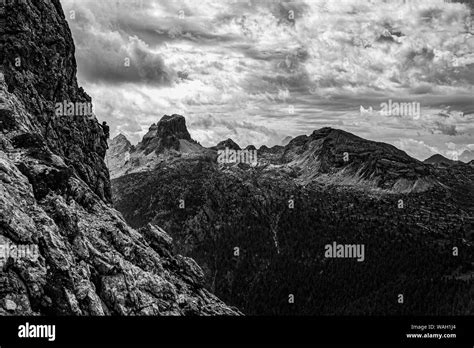 Top Naturbild Schwarzweiß Stockfotos Und Bilder Alamy