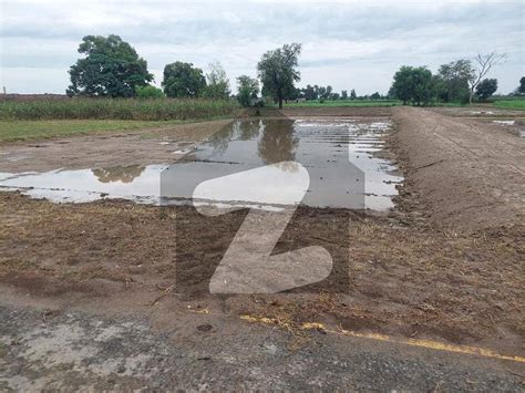 1 Kanal Farm House Land For Sale In Bedian Road Jahman Village Idea