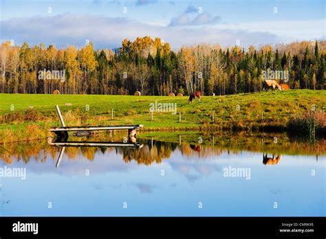 Mansonville Quebec Hi Res Stock Photography And Images Alamy