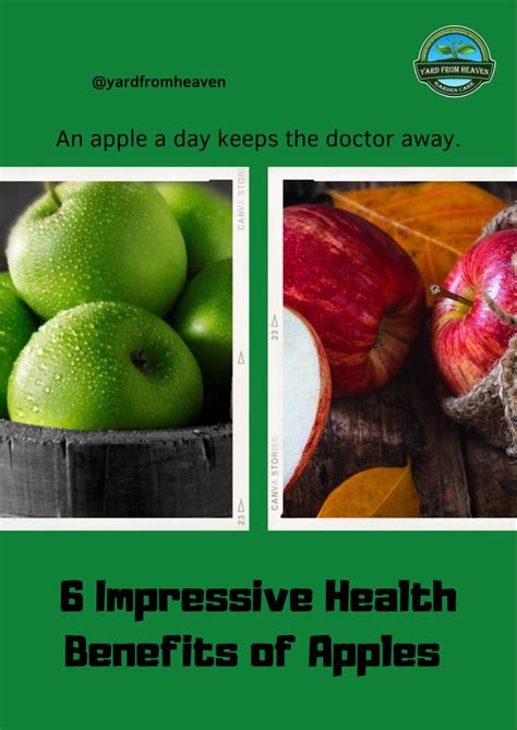 Interior Design Quotes Apple Health Benefits Healthline Nutrition Fruit 10 Things Food