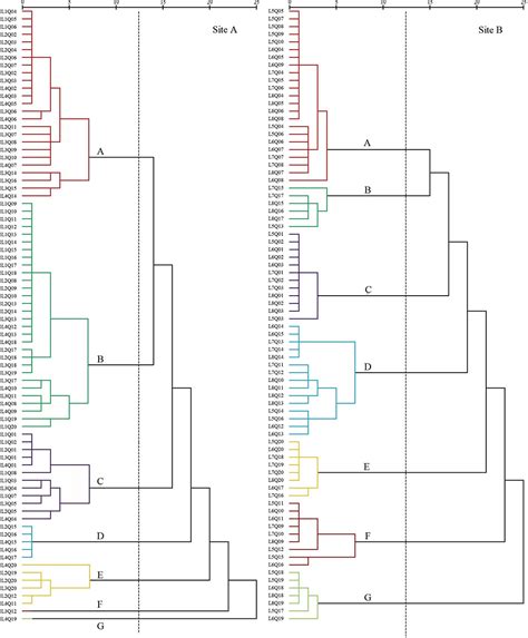 Frontiers Effect Of Freshwater On Plant Species Diversity And Interspecific Associations In