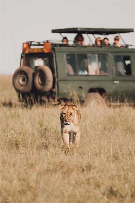 Days Masai Mara Lake Nakuru Amboseli Kenyan Safari Wildlife