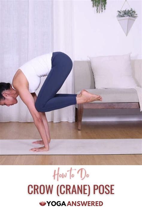 Crow Pose Ideas Crow Pose Yoga Tips Yoga Poses