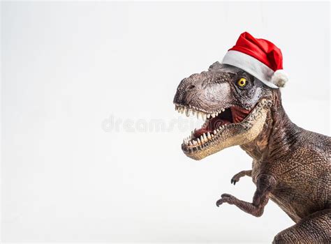 Dinosaur T Rex With Christmas Hat Tyrannosaurus On White Ba Stock