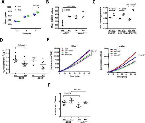 Metabolic And Oncogenic Adaptations To Pyruvate Dehydrogenase