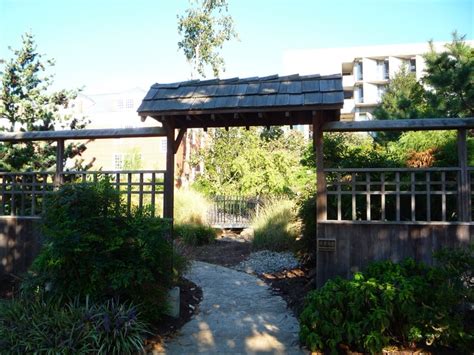 Japanese Flower Garden At Faner Hall