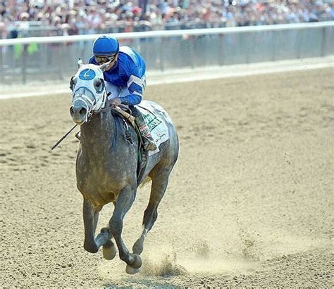 Frosted Thoroughbred Horse Racing Thoroughbred Horse Horses