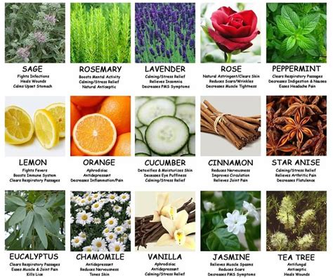 Pin By Angel Seeker On Herbal Plants Medicine Essential Oil Chart