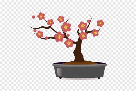 Bonsai Plum Blossom Flowerpot Hobby PLUM Tree Branch Flower Png PNGEgg