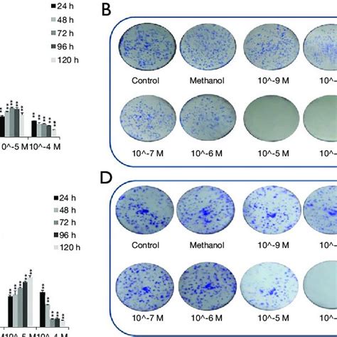 Atorvastatin Induces Apoptosis In Pancreatic Cancer Cells Panc And