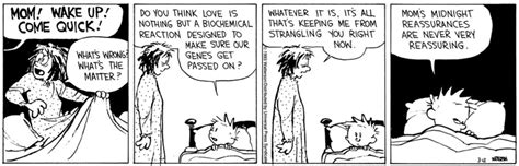 Best Calvins Mom Strips In Calvin And Hobbes Ranked