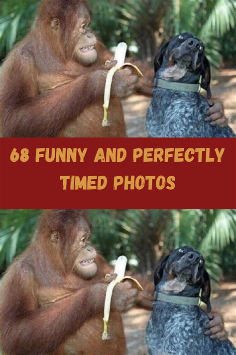 Times People Saw Something Hilarious That Tickled Their Funny Bone