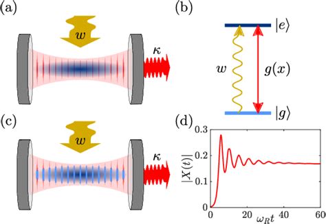 Figure 1 From Superradiant Phases Of A Quantum Gas In A Bad Cavity Semantic Scholar