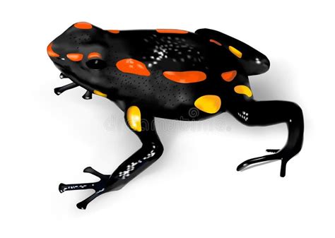 Poison Dart Frog Stock Illustrations Poison Dart Frog Stock