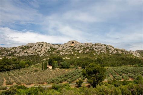 Garrigue