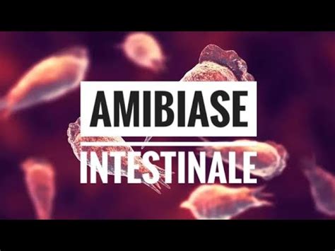 L Amibiase Intestinale Partie Youtube