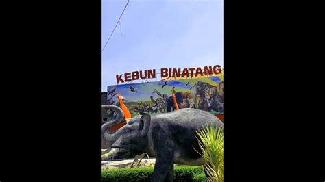 Kebun Binatang Bukittinggi Sumatra Barat Youtube