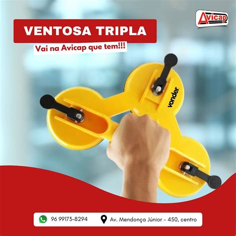 Avicap Avicultura Do Amapá Indústria E Comércio Ltda - AVICAP AVICULTURA DO AMAPA INDUSTRIA E COMERCIO LTDA ...