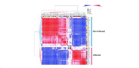 Correlation Heatmap Of Relative Abundance Of 50 Most Abundant