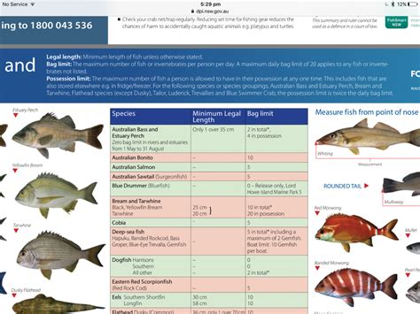 Legal Size For Dart Fish Fishing Chat Deckee Community