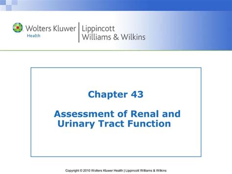 ASSESSMENT OF RENAL AND URINARY TRACT INFECTION PPT