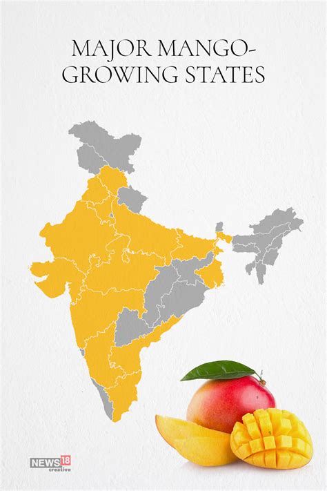 The Mango Map Of India Forbes India