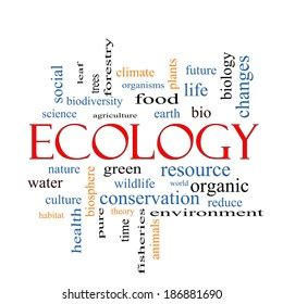 Ecology Word Cloud Concept Great Terms Shutterstock