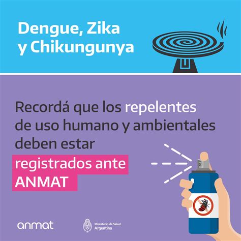 Brote In Dito De Dengue En Argentina Cu Les Son Los S Ntomas De La