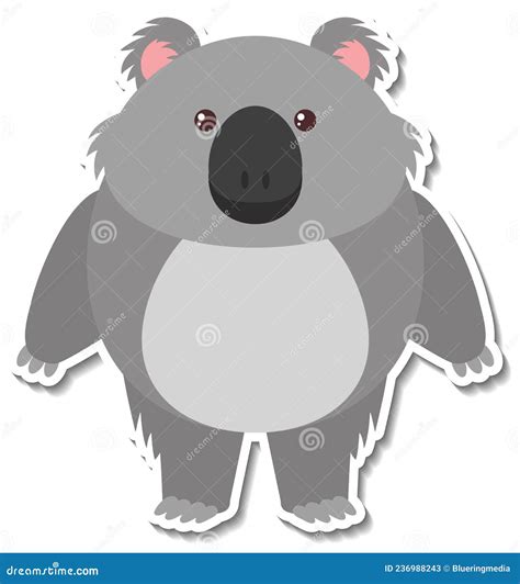 Chubby Koala Animal Cartoon Sticker Stock Vector Illustration Of