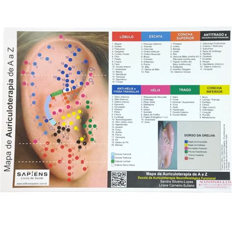 Mapa De Auriculoterapia De A A Z