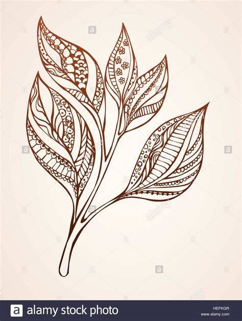 Leaf patterns drawing hi-res stock photography and images - Alamy