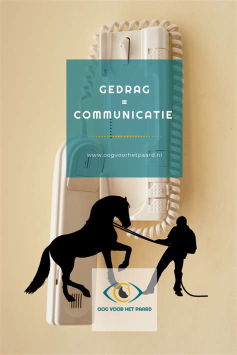 Gedrag Is Communicatie Oog Voor Het Paard