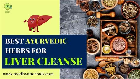 Best Ayurvedic Herbs For Kidneys And Liver Cleanse Detoxification