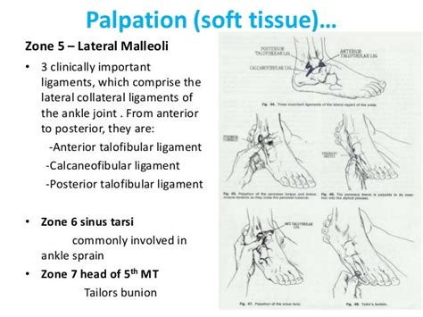 Examination Of Foot And Ankle