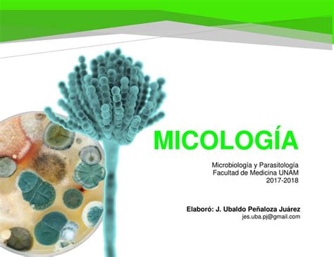 Micosis Superficiales Alisson Gomora Gonzalez UDocz