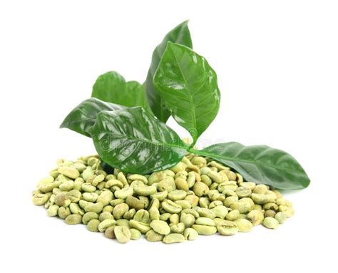 Green Coffee Beans And Fresh Leaves On White Background Stock Photo