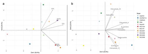 Full Article Genetic And Phenotypic Intra Species Diversity Of Alga