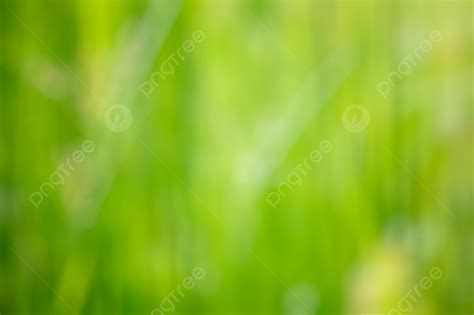 Nature Blurred Defocused Background Of Green Grass Photo And Picture