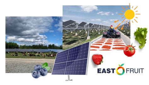 Solar farming and agrivoltaics instead of gas and coal - examples of their use in Ukraine and ...