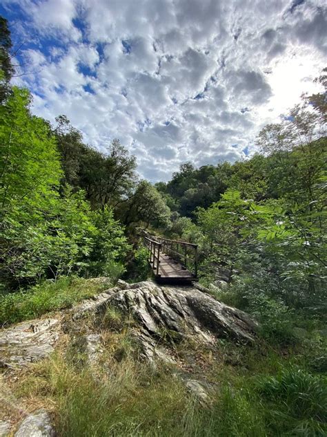 Saint Privat De Vallongue Des C Vennes Au Mont Loz Re Office Du Tourisme