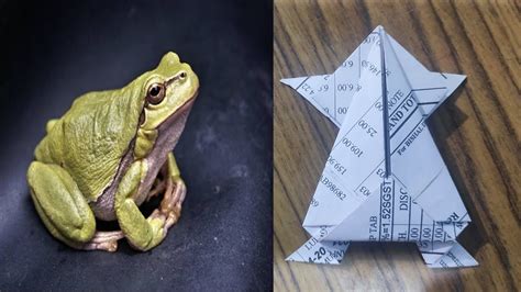 How To Make A Paper Jumping Frog Youtube